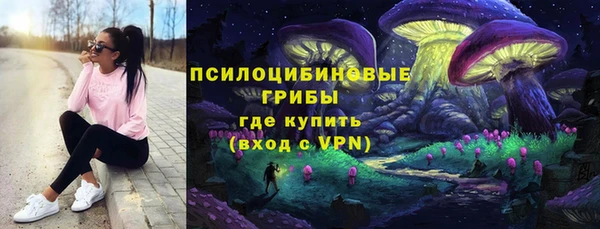 эйфоретик Балахна