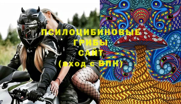 альфа пвп Сосновоборск